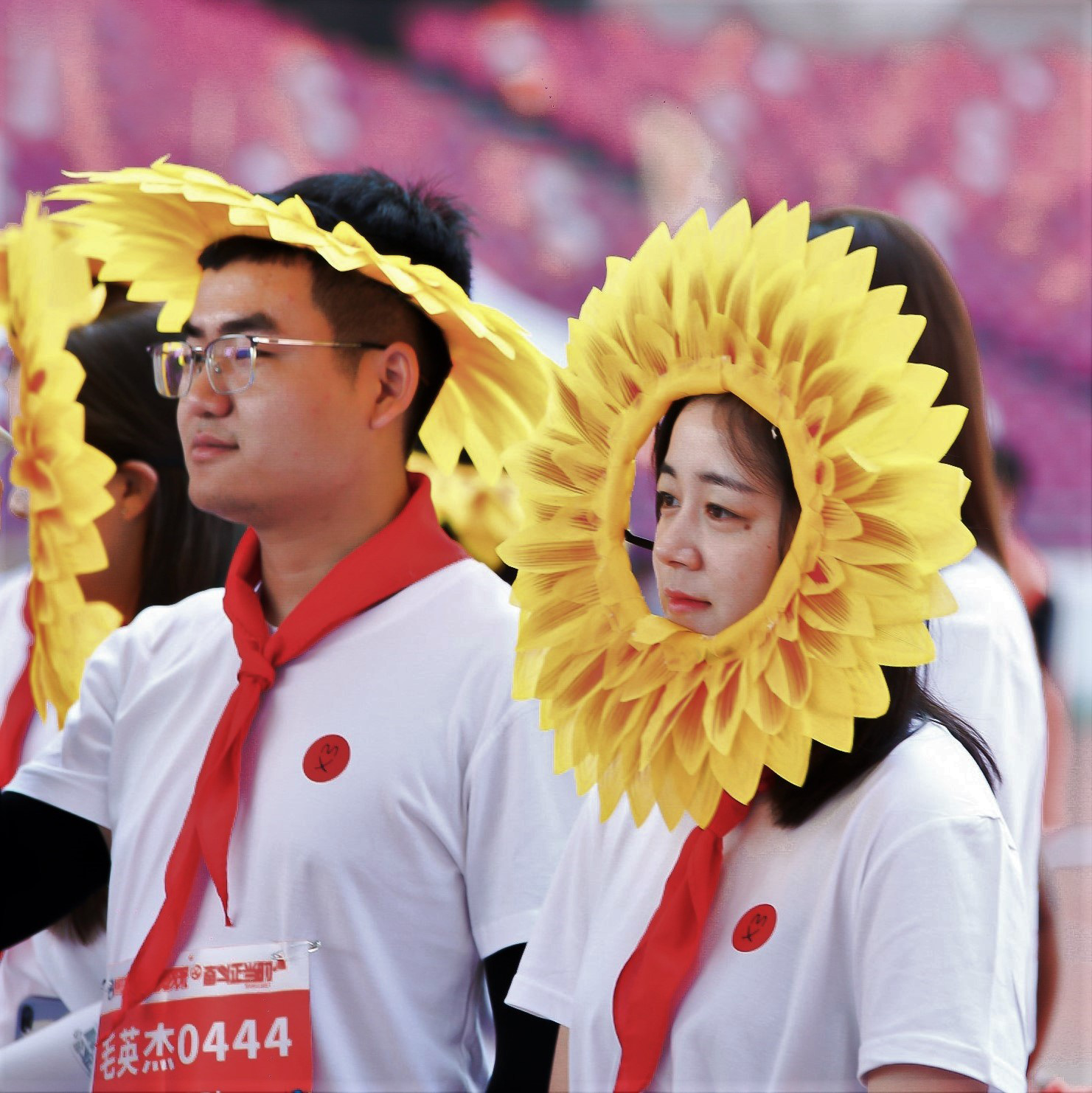 图片不见了