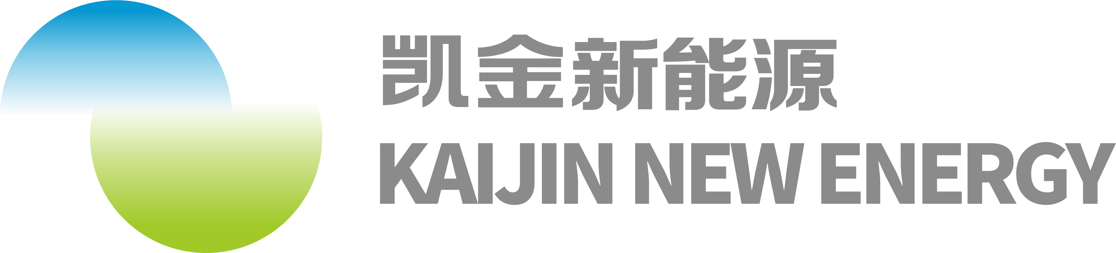 凯金
