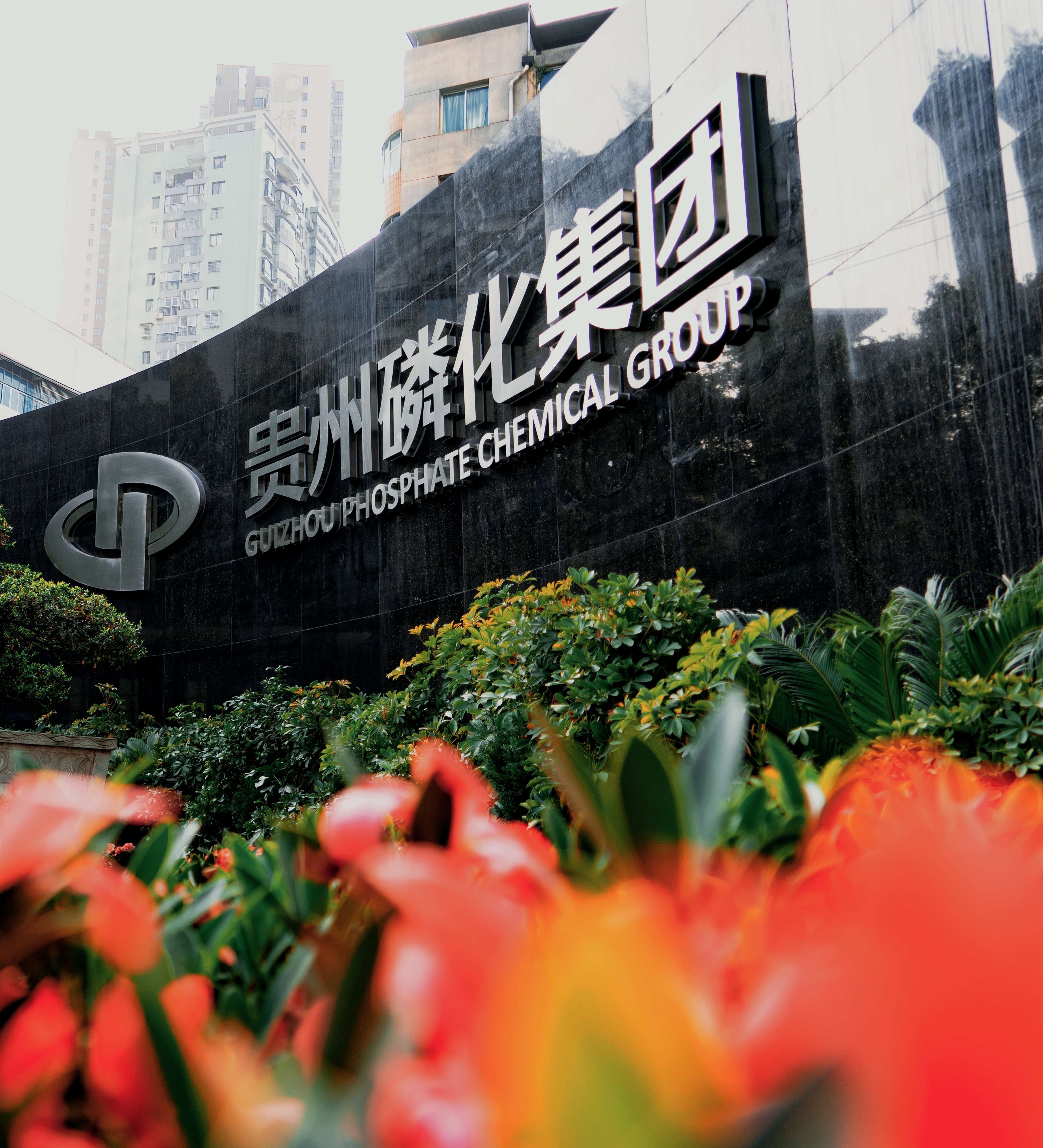 图片不见了